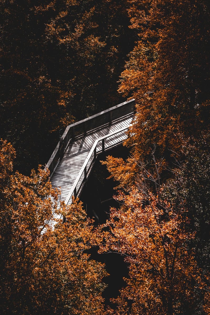 Mindfulness in Nature